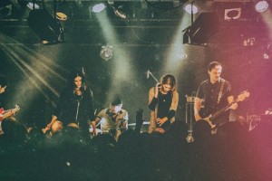 Pridjevi koncert