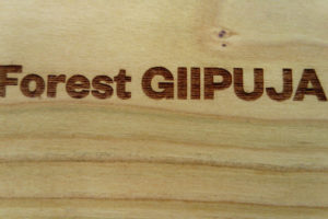 Forest GIIPUJA"