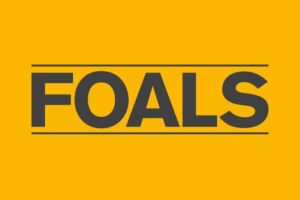 foals