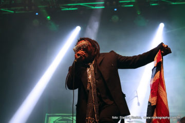 Skindred