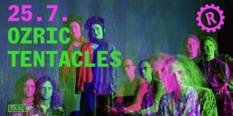 Ozric Tentacles nastupaju uživo na koncertu tijekom turneje